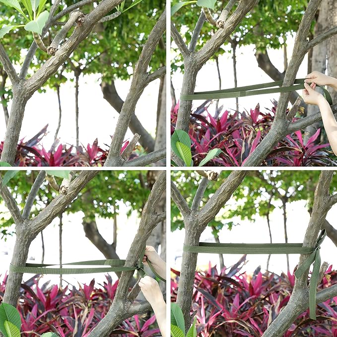 Shappy Tree Tie Strap Garden Webbing Strap Garden Plant Supports Tree Tie Staking and Guying for Outdoor Use, Plant Supports, Grafting, Straightening Supplies(Olivine,295 Feet x 1 Inch)