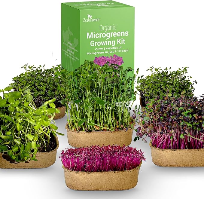 ZESTIGREENS Microgreens Growing Kit, 6-Grow Variety Pack with Most Popular & Colorful Microgreens Varieties