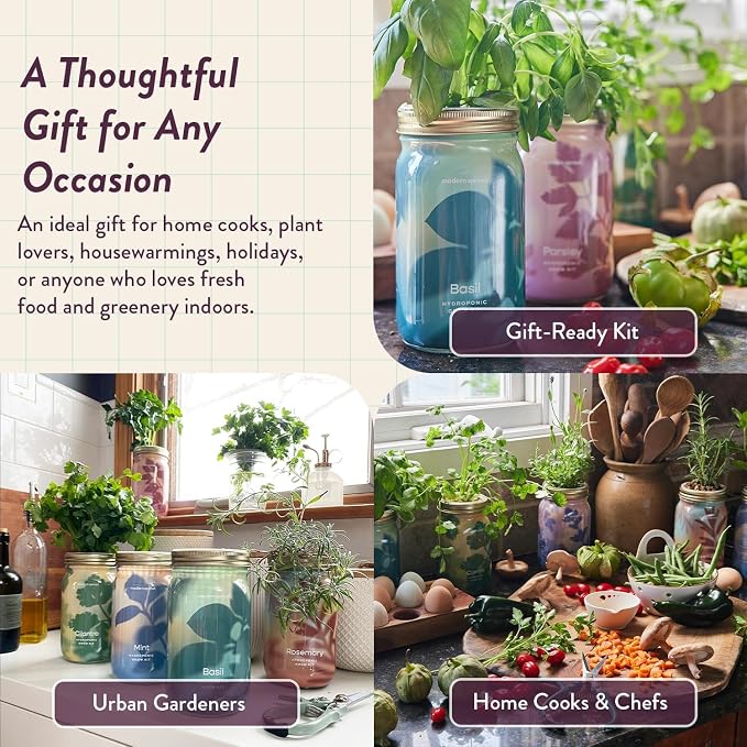 Modern Sprout Mason Garden Jar - Self-Watering Hydroponics Growing System Kit with Organic Herb Seeds - Jar Planter for Indoor Herb Garden - Seed Starter Kit - Gift for Mother's Day - Parsley