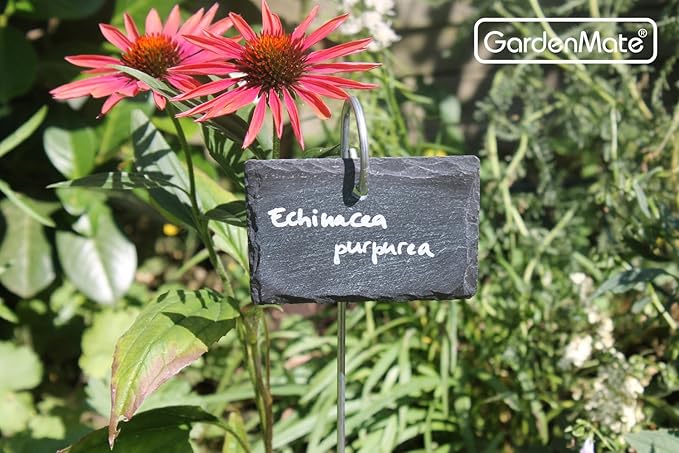 GardenMate 5-Pack Natural Style Slate Plant Labels (4"x 2 3/4") Hanging from a Stainless Steel Metal Rod (17")