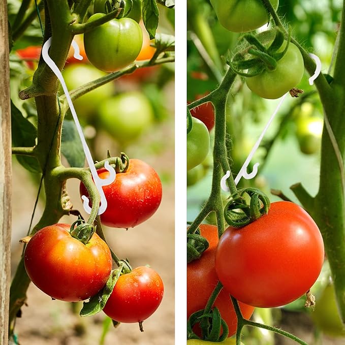 Jetec Tomato Support Clips, Plant Vegetable Support Hook Clip, Garden Support Clips, Grape Vine, Vegetables Plants Tomato Trellis Clips to Prevent Tomatoes from Pinching or Falling Off(200 Pieces)