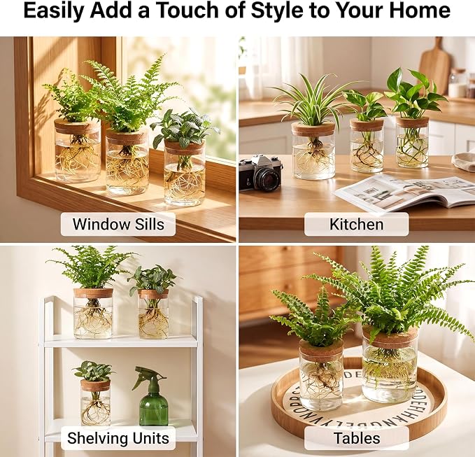 6Pcs Glass Plant Propagation Stations, Desktop Flower Vases, 3 Size Hydroponic Glass Container Vase (2 Large & 2 Medium & 2 Small) for Plant Cuttings, Desks, Houses, Living Room, Bedroom, Office Decor