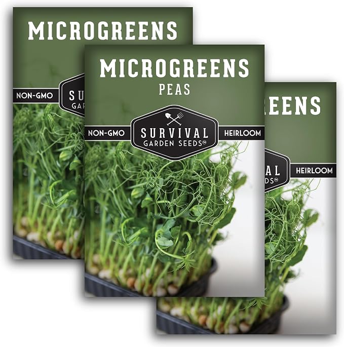 Pea Microgreens Seeds for Sprouting and Growing Indoors – Sweet, Tender Shoots for Windowsill or Countertop Gardens – Grow Your Own Mini Greens – Non-GMO Heirloom – Survival Garden Seeds (3 Pack)