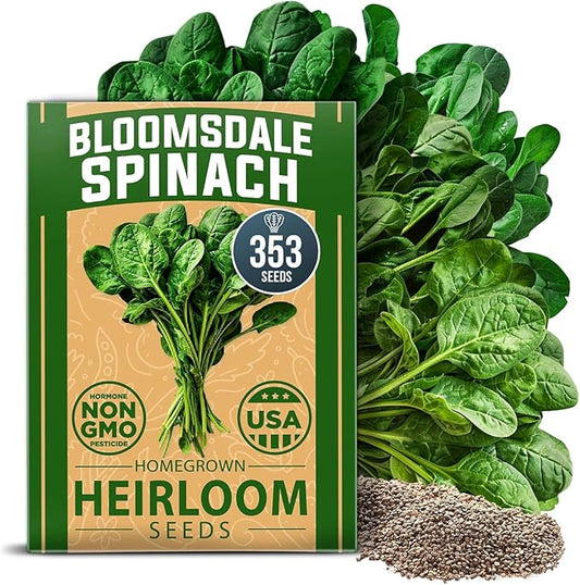 HOME GROWN Bloomsdale Spinach Seeds 353+ Non GMO Heirloom Seeds for Planting, High Germination, Cold Tolerant, Dark Green Crinkled Leaves, Fast Growing, Hydroponic & Garden (Spinacia oleracea)