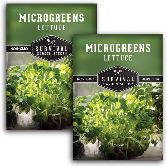 Lettuce Microgreen Seeds for Planting - Non-GMO Heirloom Lettuce Seeds to Grow Crisp, Tender Microgreens - Indoors or Hydroponic - Fast Germination, Mild Flavor - Survival Garden Seeds (2 Packs)