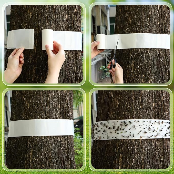 6 Rolls Spotted Lantern Fly Traps Ant Insect Barrier, 30 ft Each, Outdoor Fly Tree Tape Trees Wrap Spotted Lanternfly Killer for Protect Trees, Fruit & Plants, Pest Control Lawn & Garden