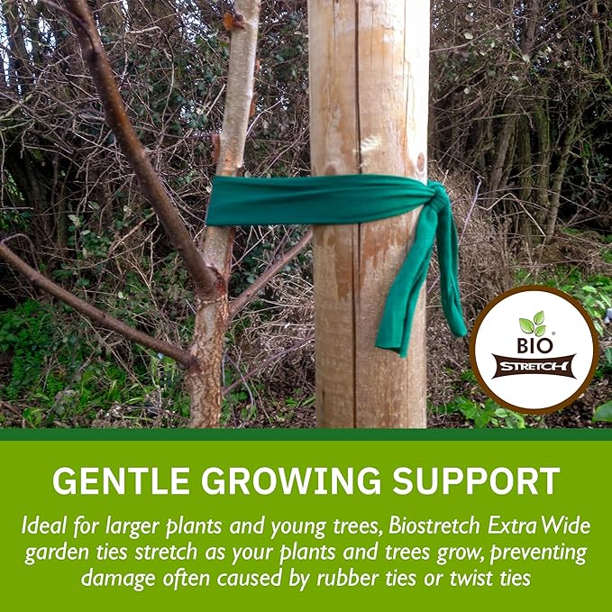 Bio-Stretch Extra Wide Soft Tree Ties - Strong & Stretchy Support for Large Plants & Young Trees - Cut-to-Length Green Garden Tape for Home & Professional Gardening (26 ft / 8M)