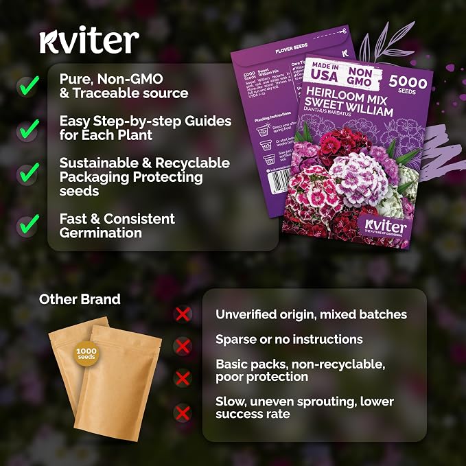 KVITER 5000 Mix Sweet William Seeds for Planting (Dianthus barbatus) – Heirloom Seed, Clove-Scented Blooms, Drought Tolerant – Perennial Flower Seeds to Plant Outside & Inside