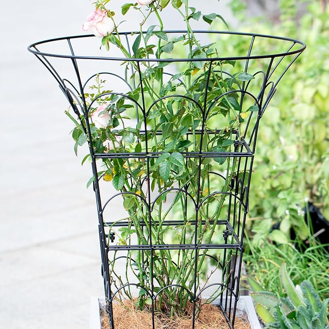COOOXIM 27.5 x 22 Inches Peony Cages & Supports - Heavy Duty Metal Plant Obelisk Trellis for Outdoor Use, Perfect for Peonies, Roses, and Climbing Vines - Durable Garden Support Ring in M Shape
