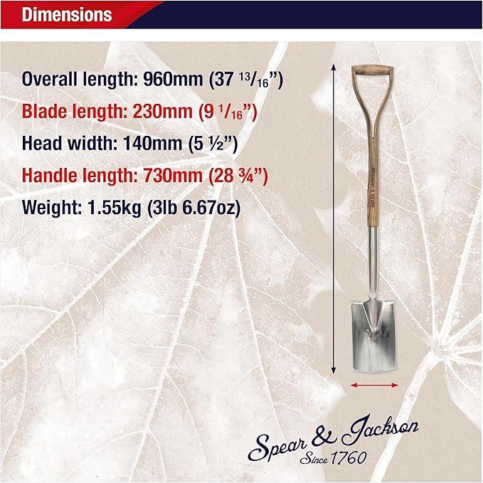 Spear & Jackson Traditional Stainless Border Spade, Mirror-Polished Stainless Steel Head, Weatherproofed Hardwood Shaft, Ergonomic Wishbone Handle