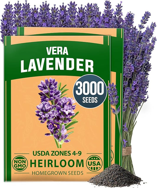 HOME GROWN Non GMO English Lavender Seeds 3,000+ Wildflower Seed for Planting Indoor/Outdoor, High Germination, Plant Flower Seeds (Lavandula antustifolia)