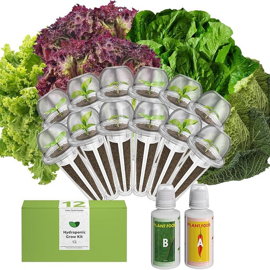 inbloom Salad Romaine Lettuce Seed Pod Kit for AeroGarden, Ahopegarden Hydroponics Growing System, 12-Pods (350+ Seeds, Include American Fast, Parris Island, Buttercrunch, Red Romaine Lettuce)