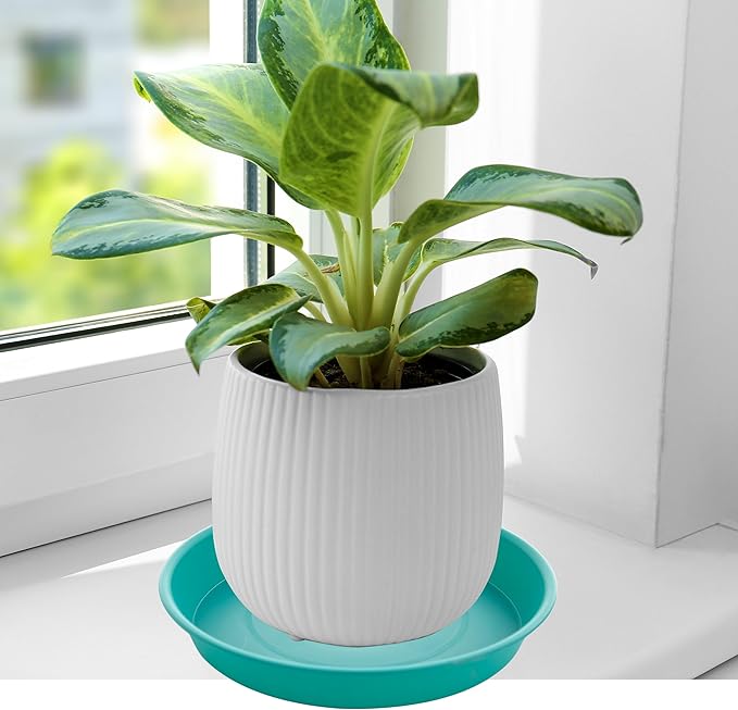 2 Pack of 10 inch Plant Saucer Gray, Heavy Duty Plastic Plant Saucer 10 inch Round, Durable Plant Tray for Pots, Plant Saucers for Indoors, Plant Trays for Planter 9"/10" (10", Teal)