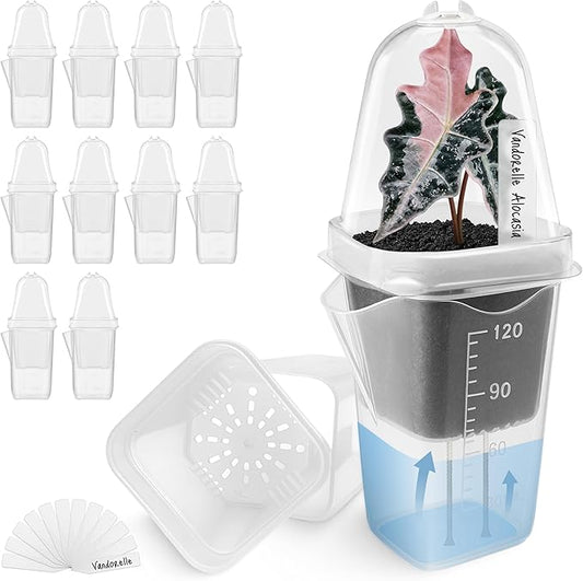 12 Pack 2.5" Small Clear Self Watering Pots with Humidity Dome for Indoor Plants,Seed Starter Cups, Tissue Culture Acclimation Kit,Alocasia Corm Propagation,African Violet,Cuttings,Seedling