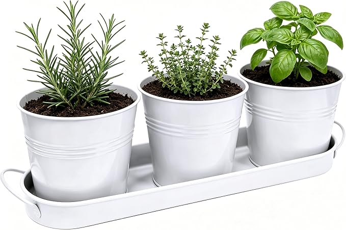 TCBWFY Indoor Herb Garden Planter Set - 3 Pack 4.7" White Metal Plant Pots with Drainage Holes & Removable Tray - Windowsill Kitchen Counter Balcony Office Garden