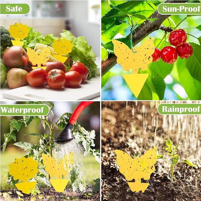 96 Pack Fruit Fly Sticky Trap - Gnats Insect Traps for Indoor Outdoor, Yellow Double-Sided Sticky Insect Catchers Fungus, Fruit Flies, Whiteflies, Aphids, Leaf Miners