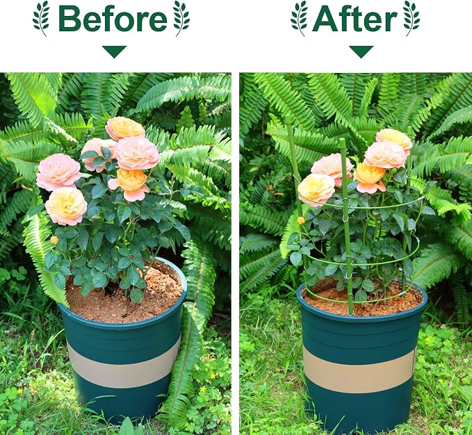 LEOBRO 4 PCS Metal Plant Cages, Tomato Cages, Metal Garden Plant Supports, Plant Trellis, Plant Stakes for Tomato, Climbing Plant, Flower, Seedlings, 17.7" High, 7.1"/7.87"/8.66" Inner Diameter
