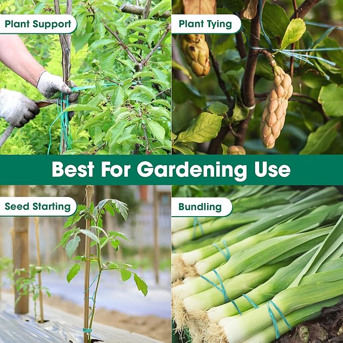 Heavy Duty 200 lbs Strong Polypropylene Tomato Twine, Garden Plant Tie String, Greenhouse Trellis Twine, Durable PP Tying Twine for Bundling, Packaging, Gardening, Farming (White/Green), 164FT