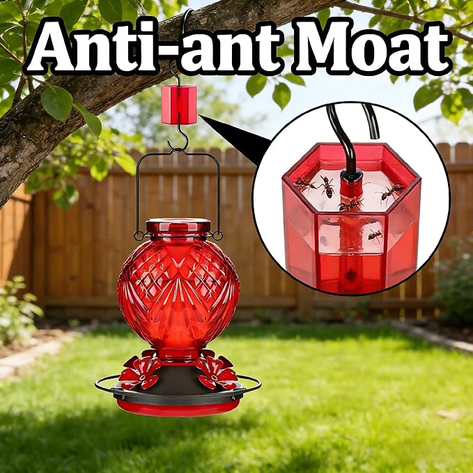Glass Hummingbird Feeder for Outdoors Hanging, 20oz Bird Nectar Feeder with 4 Bee Guard Flower-Shaped Feeding Ports & Built-in Ant Moat, Easy to Clean, for Bird Lover,2 Pack,Red