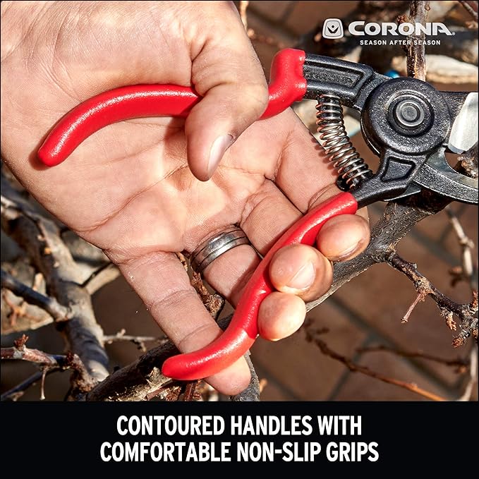 Corona BP 3640 Forged Steel ErgoACTION Angled Bypass Hand Pruner - 3/4 inch Cut Capacity Stem and Branch Garden Shears, Red (Pack of 6)