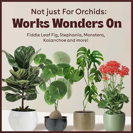Keiki Paste for Plants to Clone & Create New Growth — 2X The Paste Cloning Gel for Orchids & Houseplants, Rooting Hormone Paste for Cuttings, Plant Propagation Gel, Nutrient Rich Growth Gel, 0.5 oz
