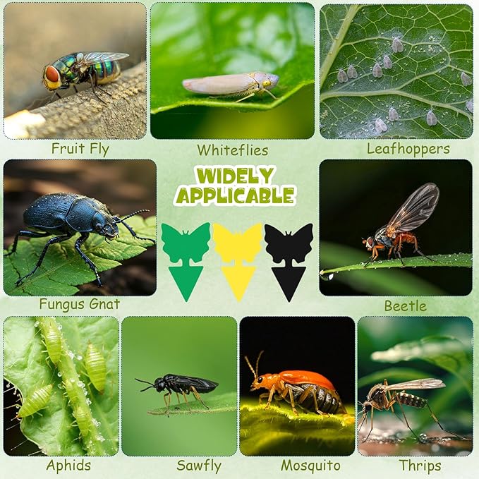 120 Pack Fruit Fly Traps Fungus Gnat Sticky Traps Yellow Black Green Plant Fly Stickers Double Side with Shovel for Indoor Outdoor Kitchen Garden Houseplant Flying Bug Insect (Butterfly)
