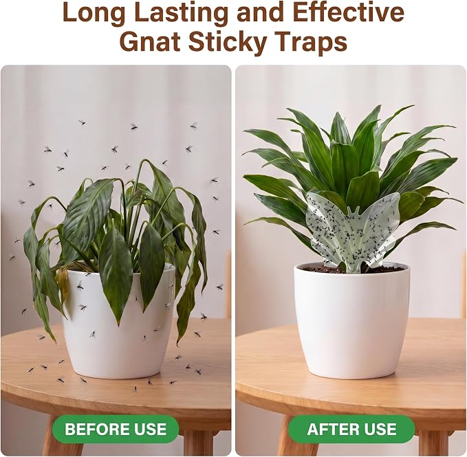 100 Pack Gnat Traps, Plant Sticky Traps for Flying Insects, Double Sided Flying Bug Catcher for Indoor Outdoor Fruit Flies, Mosquitoes,Easy Release Liner for Plants, House