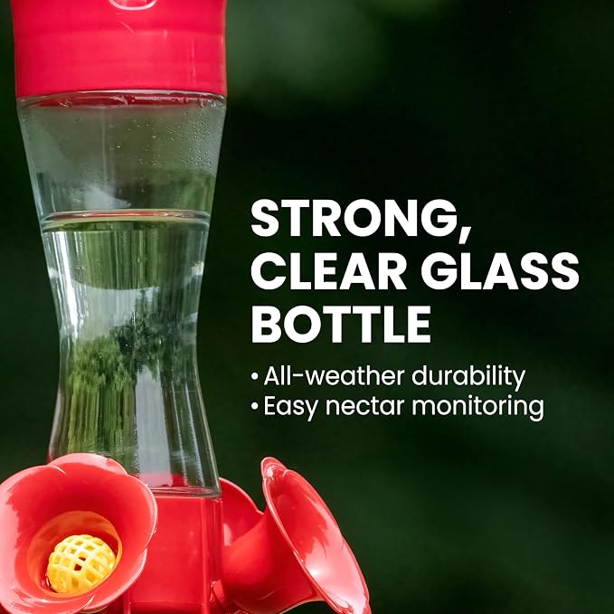 Perky-Pet 203CPBN-2 Glass Hummingbird Feeders for Outdoors with Perches,Ant Moat,Bee Guards -,2 Count (Pack of 2)