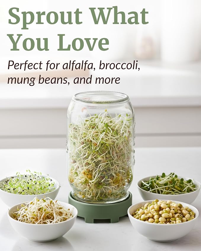 Elementi Sprouting Jar Kit - Set of 2 Wide Mouth Mason Jars with Sprout Lids & Stainless Steel Mesh Screen - Seed Sprouting Kit & Sprout Jars for Growing Broccoli Sprouts, Alfalfa, Mung Bean Sprouter