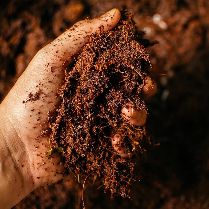 Coco Coir 250gm Bricks (10-Pack) - Organic Coco Coir for Plants & Gardening - OMRI-Listed Cocopeat for Garden Soil, Seed Starter Soil, & Mulch - Organic Coconut Bricks - Coconut Fiber Potting Mix