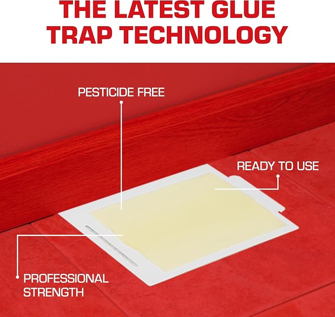 Tomcat Glue Boards with Eugenol for Enhanced Stickiness, Immediate Grip Glue Captures Mice, Cockroaches and Insects, Use Flat or Covered, Ready-To-Use, 26-Pack