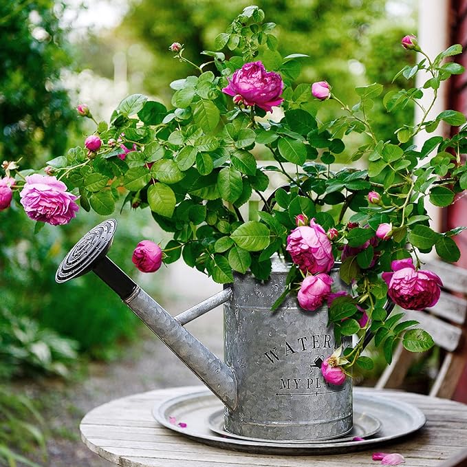 Garutom Galvanized Watering Can for Outdoor Indoor Plants, 1 Gallon Decorative Countryside Style Water Can with Removable Spout, Perfect Metal Watering Can for Indoor Plants and Garden Flower
