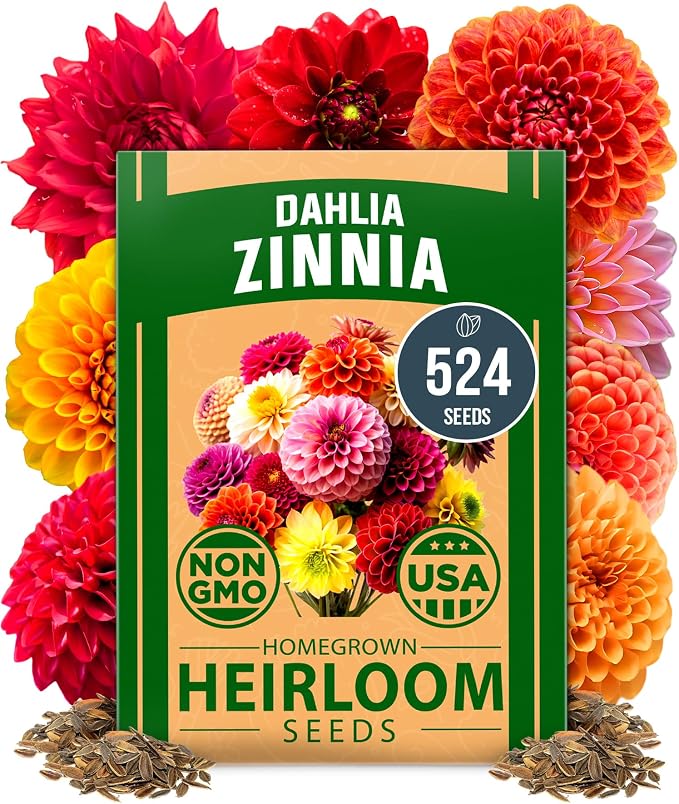 HOME GROWN 𝗨𝗦𝗔 𝗣𝗥𝗘𝗠𝗜𝗨𝗠 Zinnia Dahlia Seeds 524 & HOME GROWN 𝗨𝗦𝗔 Bonsai Tree Kit – 6 Heirloom