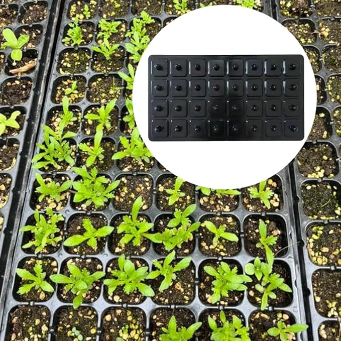 Seed Dibber Seedling Tray Tool Labor Saving Gardener Gift with Handle Garden Tool Quickly Setting Out Seed Spacer Soil Digger 50 Hole(32 Hole)