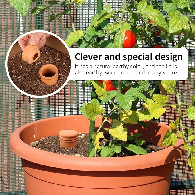 Ollas 8pcs 3.1 * 6inch Terracotta Plant Watering Globes Self Watering Planter Insert Olla Watering Terra Cotta Clay Irrigation Globes