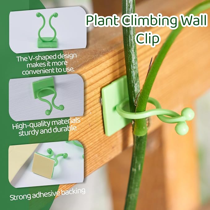 30/60/100PCS Plant Climbing Wall Fixture Clips,Invisible Wall Plant Vines Fixing Clips,Self-Adhesive Vine Support Holder for Climbing Plants. (60, Green V-Shaped)