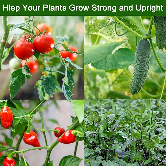 Frcctre 50 Pack 16 Inches Garden Stakes with 25 Connectors, Connectable Plant Support Stakes Plastic Coated Metal Tomato Sticks Plant Climbing Support for Tomatoes, Cucumber, Beans, Potted Plants