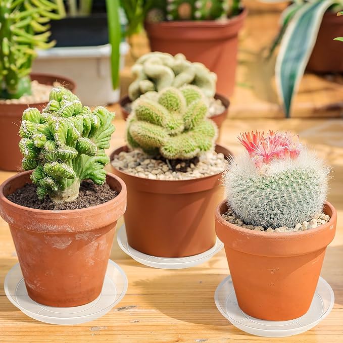 Augshy 18 Pack Plant Suacer 6 Inche Plant Drip Trays for Pots Clear Plant Pot Trays Water-Repellent Plant Saucers for Gardens Balconies and Indoors