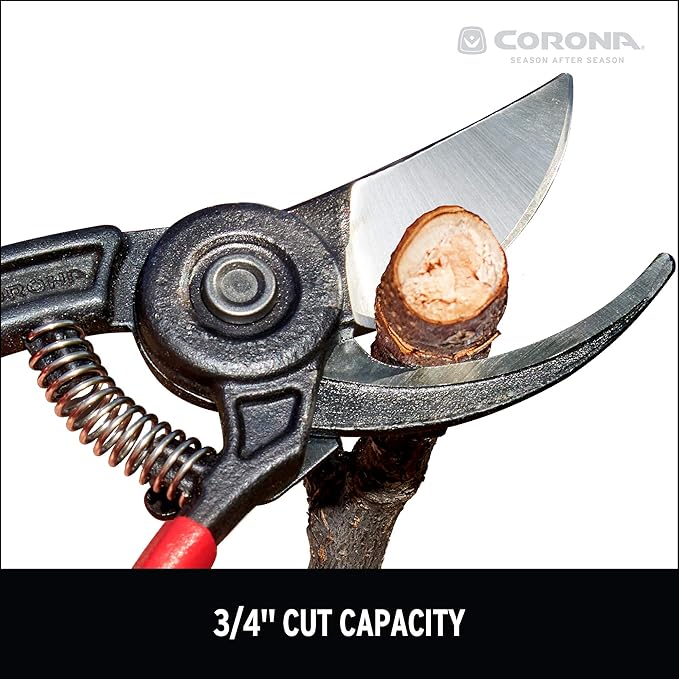 Corona BP 3640 Forged Steel ErgoACTION Angled Bypass Hand Pruner - 3/4 inch Cut Capacity Stem and Branch Garden Shears, Red (Pack of 6)