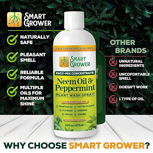 Neem Oil Spray for Plants with Peppermint Oil – for Indoor & Outdoor Plants, Gardens, & Houseplants– Best Value Refill 16 oz Concentrate Makes 2 Gallon RTU