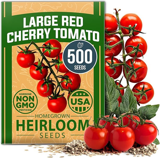 HOME GROWN Large Red Cherry Tomato Seeds 500+ Heirloom Non GMO Seeds for Planting, High Germination, Indeterminate, Sweet & Juicy Salad Tomatoes, Prolific Garden Crop, Homestead (Solanum lycopersicum)