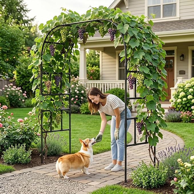 DoCred Garden Arch Trellis for Climbing Plants, 87 Inch Large Garden Trellises Outdoor Metal Plants Support Archway Arbor Tunnel Trellis for Vegetables Plant Decoration, Black