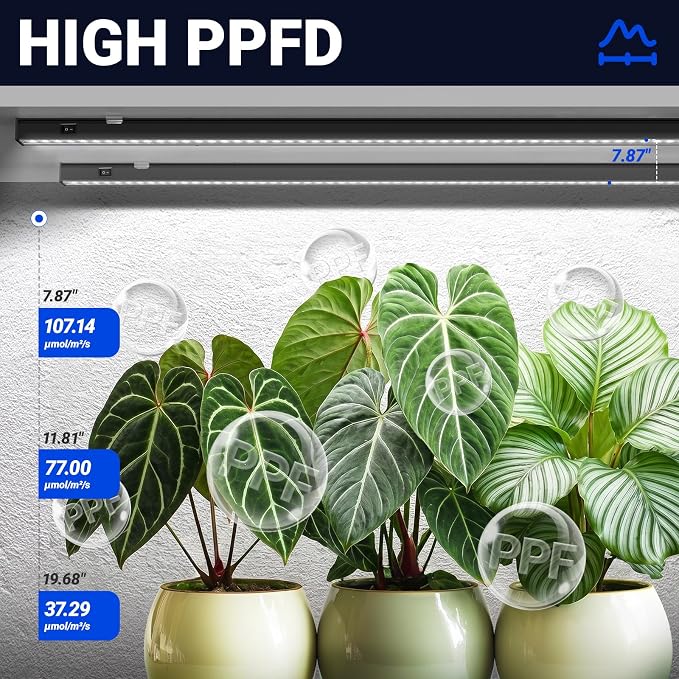 Barrina T5 Grow Lights for Indoor Plants, 2FT 20W (2 X 10W) Plant Grow Lights Indoor with Magnetic Bar, Linkable Plant Growing Lamps with Black Cover, Plug and Play, 5000K, 2 Packs