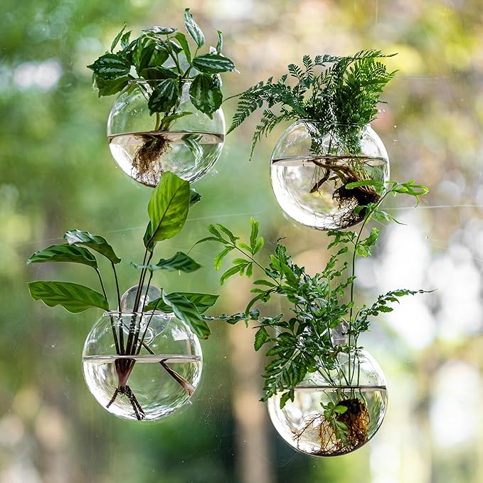 Window Propagation Stations, Oblate Glass Terrariums Planter with Suction Cup Hook, Wall Hanging Planters for Hydroponics Plants, Home, Office, Bathroom, Living Room Decor, Gift for Plant Lovers (4)
