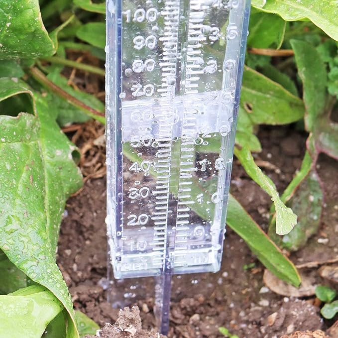Rain Gauge 2 Pack-Plastic Home Clear Rain Water Meter for Lawn Yard Garden Outdoor Home (Pack of 2)