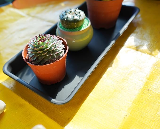 VUWEZ 2 Pack of Plastic Plant Tray Saucer Rectangular 16 inch, Plant Trays Saucers for Indoors Outdoor, Plant Water Drip Tray for Flower Pot Planter, Windowsill Plant Tray (7.0 X 16.1'', Black)