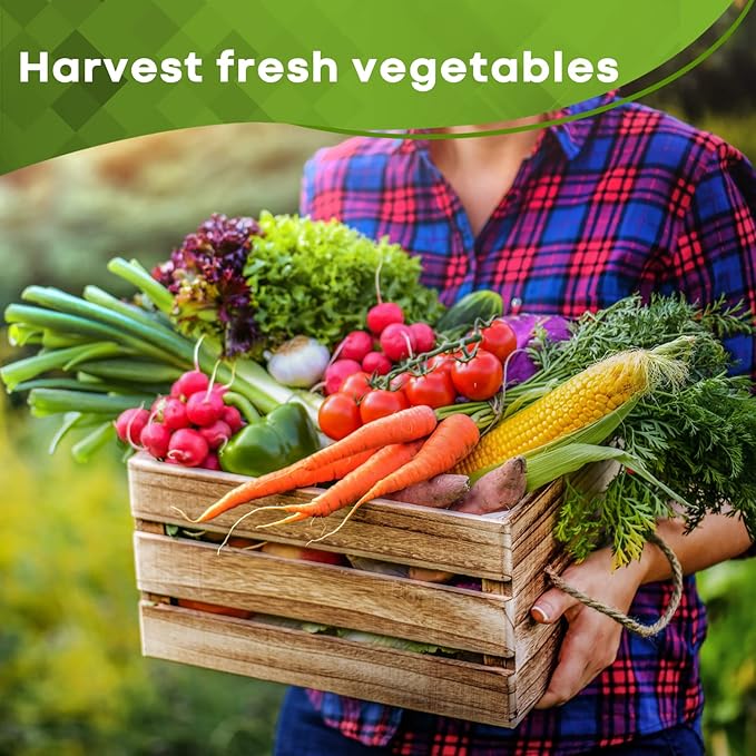 13,500+ Vegetable Fruit Seeds - Grow Your Own Garden Feast - 25 Veggie Fruit Heirloom Varieties- Mega Seed Starter Kit - Gardening Gift
