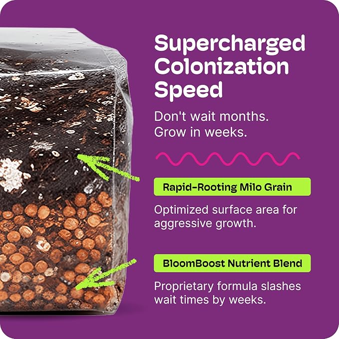 Mushroom Grow Kit – All-in-One 4LB (2-Pack) Grow Bag with Self-Healing Port – Fast-Colonizing Universal Substrate for Any Mushroom – Multi-Flush High-Yield – USA Made (Just Add Your Own Culture)