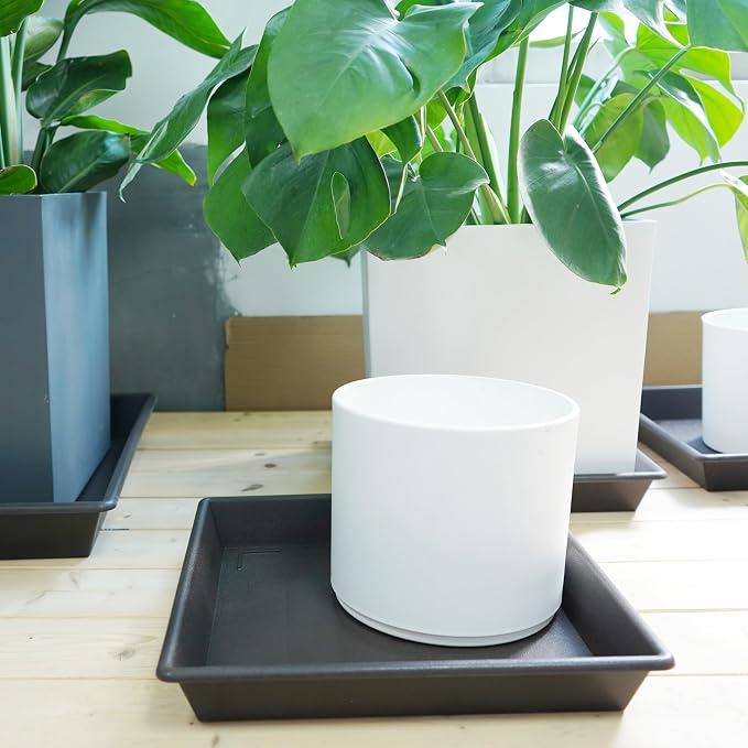 NIMYAU Square Plant Saucer 20 Inch 2 Pack, Large Plant Trays for Pots Heavy Duty Plastic Plant Saucers for Indoors Outdoors, Flower Pot No Holes Plant Lover Gardening Gifts