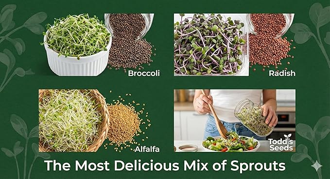 Todd's Seeds Broccoli Radish Alfalfa Sprouting Mix, 1 lb – Non-GMO | 3-seed blend: Broccoli, Radish, and Alfalfa. Chemical free, high germination. Ready in days in a mason jar or Easy Sprouter.